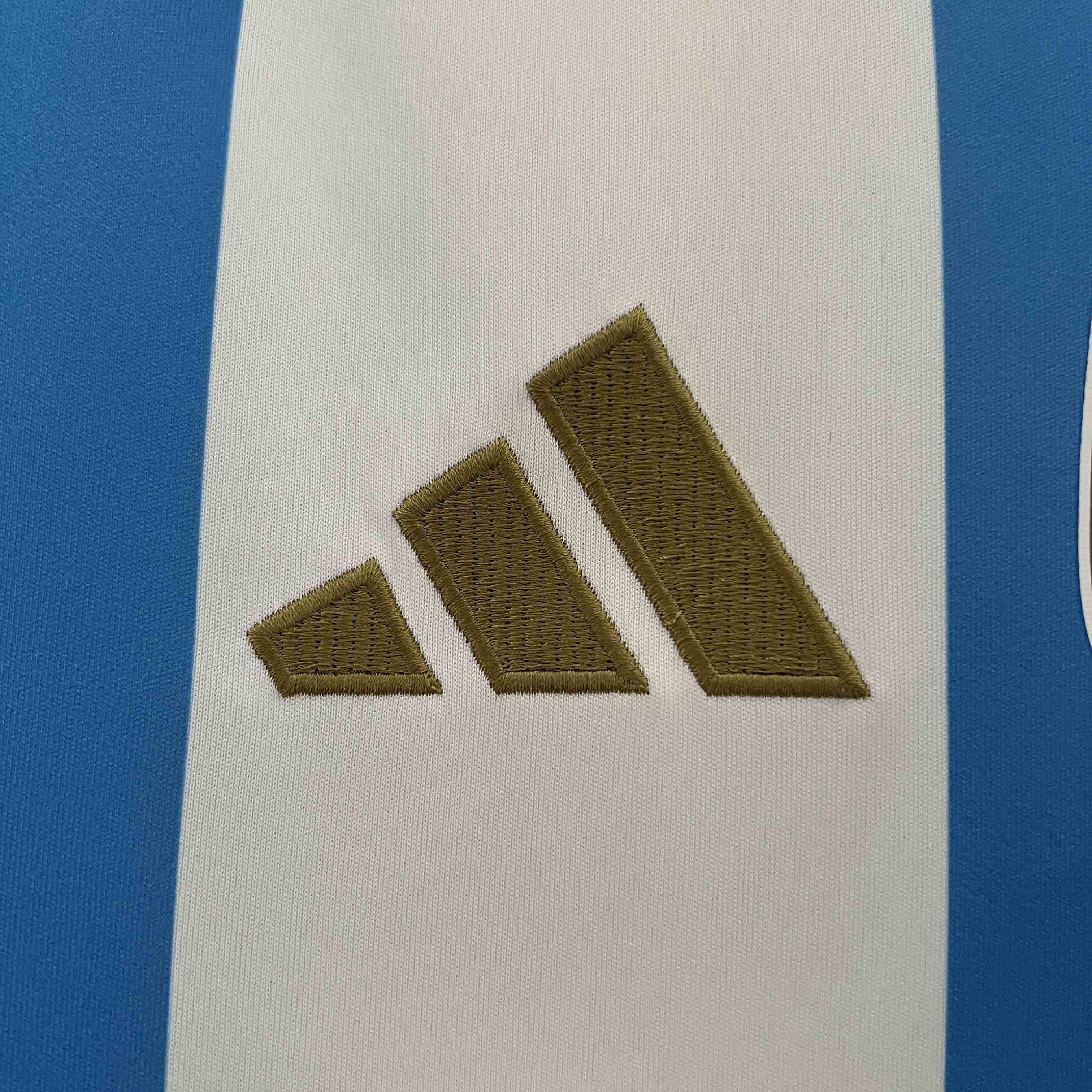 2023/24 Argentina Copa America Home Soccer Jersey - view 5