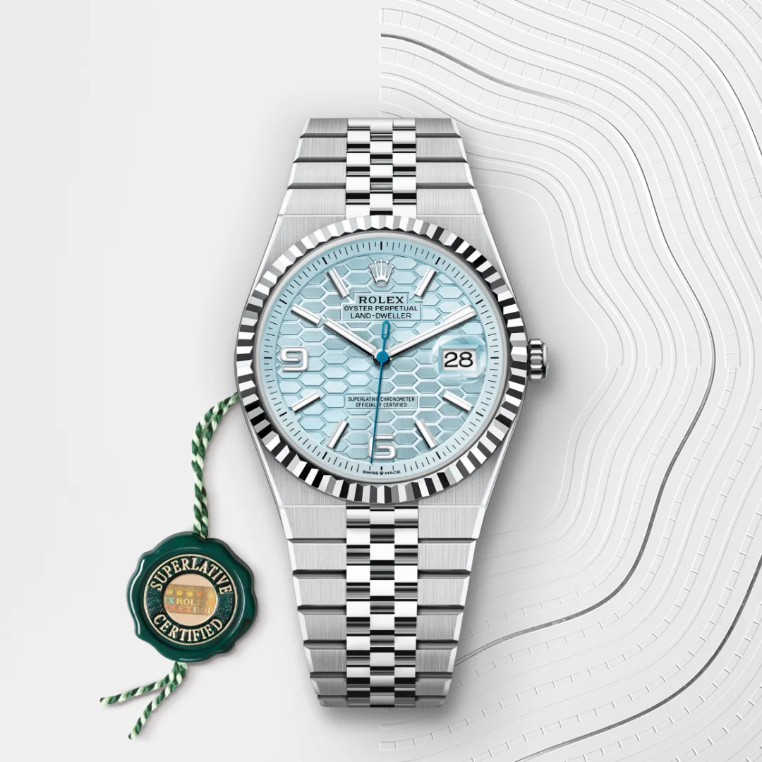 Rolex Land-Dweller 36 Ice Blue - gallery