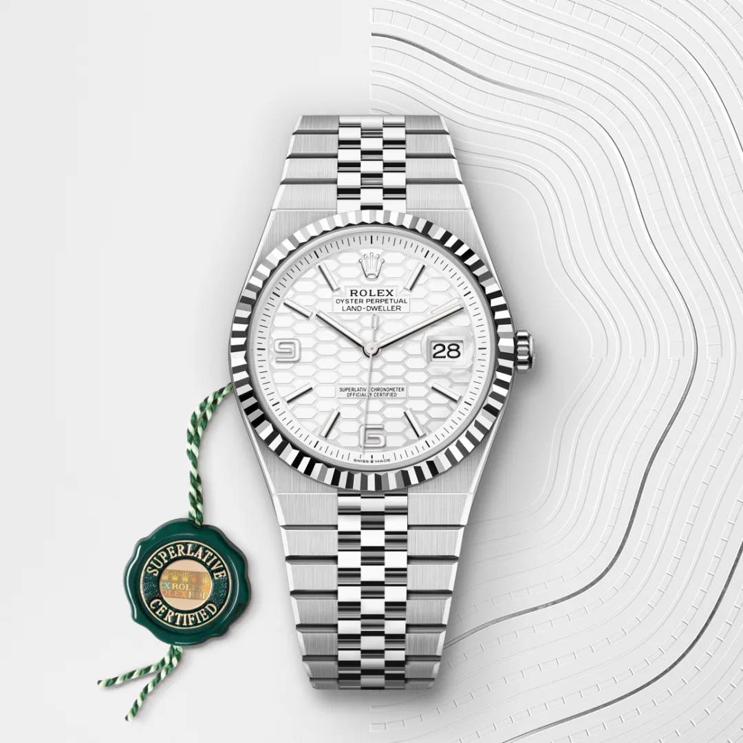 Rolex Land-Dweller 40 White Gold - gallery