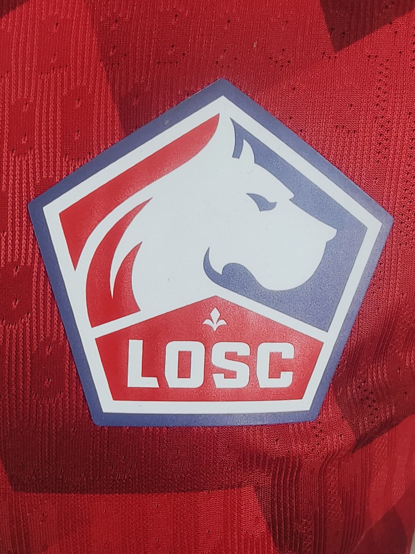 Lille Home Jersey - view 3