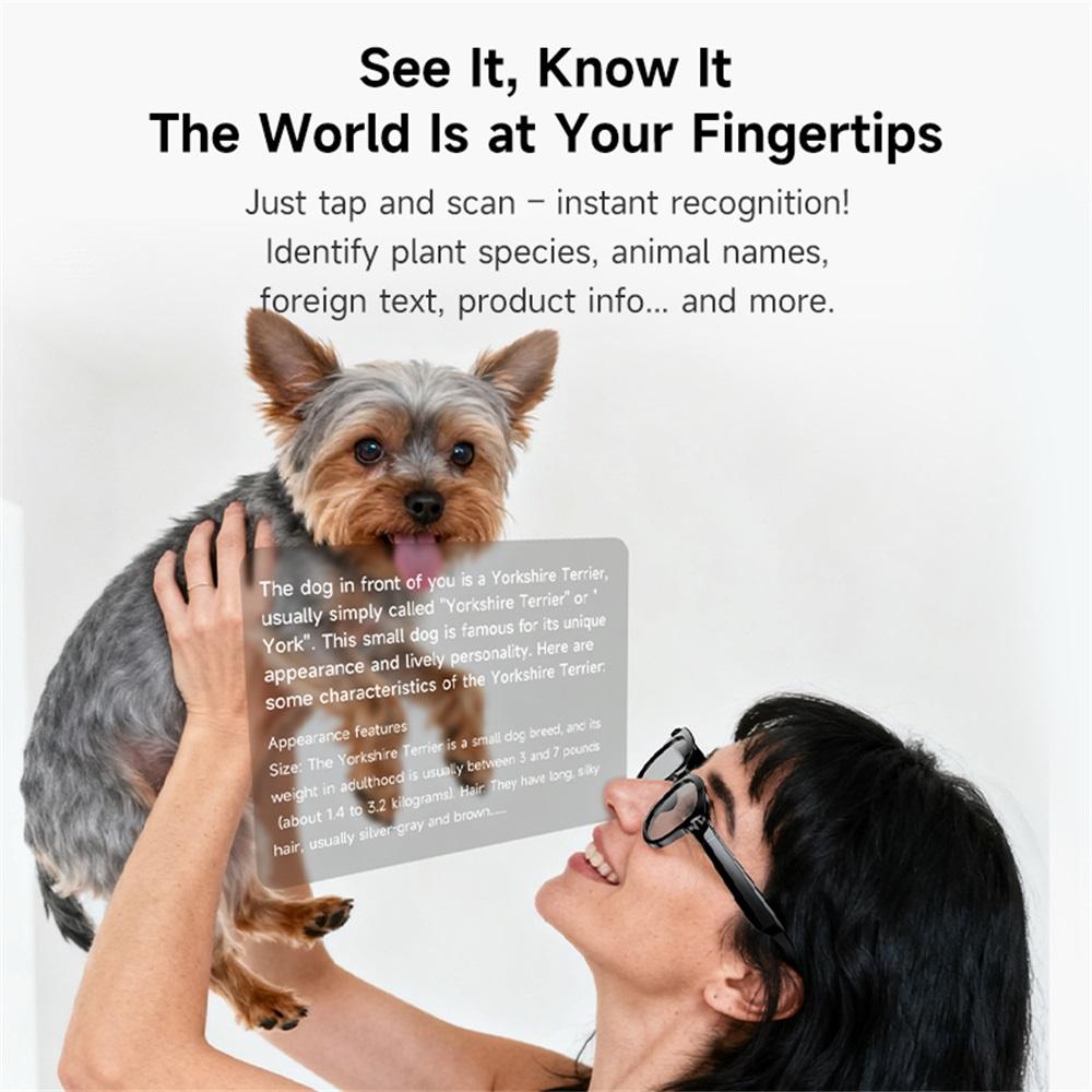 Smart glasses, AI, real-time translation, Bluetooth calling, sunglasses, dual camera, photography, voice, video, MP3 player, multifunctional, suitable for men vs Competitors: Which One Should You Choose?